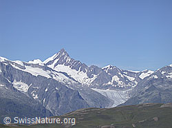 Foto: Blauseegebiet: Finsteraarhorn und Fieschergletscher