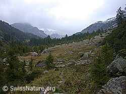 DSCN6647: Freichi bei trübem Wetter