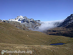 DSCN6888: Albrunpass mit Nebelwalze