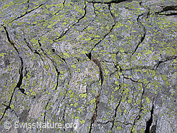 DSCN7101: Interessante Schichtung in Gneis