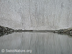 DSCN7105: Spiegelung einer Schneeflanke in Bergseee