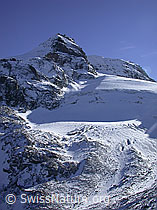 DSCN7305: Leicht verschneites Hillehorn