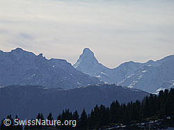DSCN7409: Bettmeralp: Matterhorn