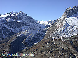 DSCN7440: Moosfluh: Oberaletschkessel