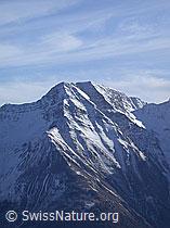 DSCN7459: Bettmeralp: Bättlihorn