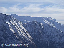 DSCN7460: Monte Leone und Breithorn (Simplon) von Moosfluh