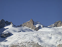 DSCN7464: Moosfluh: Rotstock