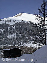 DSCN8159: Imfeld: Frisch verschneites kleines Fülhorn