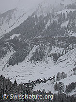 DSCN8167: Bergdorf Imfeld bei düsterem Wetter