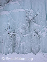 DSCN8195: Eiswand mit Eiszapfen