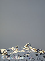 DSCN8202: Hockenhorn