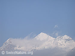 DSCN8427: Blüemlisalphorn und Oeschinenhorn