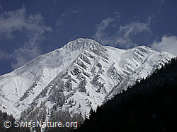 DSCN8615: Frisch verschneites Eggerhorn von Ausserbinn