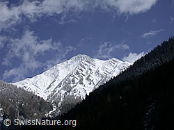 DSCN8616: Frisch verschneites Eggerhorn