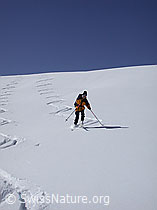 DSCN8669: Skitourenfahrerin in der Abfahrt