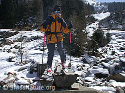 DSCN8734: Skitourenfahrerin auf Steg