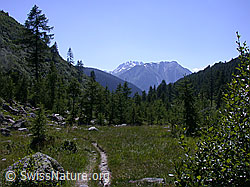 ESCN1803: Pfad  bei Lärchultini: Bättlihorn, Breithorn
