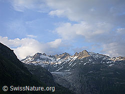 Foto: Rhonegletscher im Abendlicht