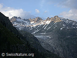 Foto: Abendlicht auf dem Rhonegletscher