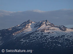 ESCN1908: Piz Gallina und Mittaghorn