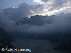 ESCN1912: Grimselsee und Brümberg durch Wolkenfenster