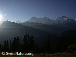 ESCN3458: Männlichen, Eiger, Mönch und Jungfrau