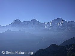 ESCN3501: Sulegg: Eiger, Mönch und Jungfrau