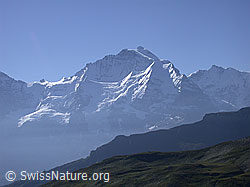 ESCN3531: Jungfrau, Berner Oberland