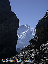 ESCN3550: Jungfrau zwischen den zwei Lobhörnern