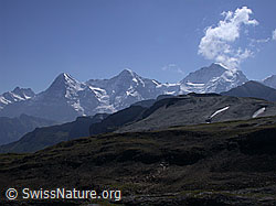 ESCN3571: Eiger, Mönch und Jungfrau