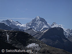 ESCN3575: Tschingelspitz, Gspaltenhorn und Bütlasse