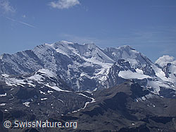 ESCN3579: Blüemlisalp (Morgenhorn, Wyssi Frau, Blüemlisalphorn)