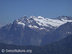 ESCN3594: Wetterhorn, Mittelhorn, Rosenhorn und Bärglistock
