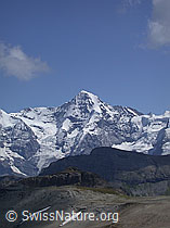 ESCN3639: Eigerjoch, Mönch und Jungfraujoch