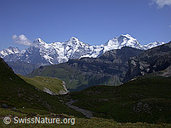 ESCN3699: Hochebene Hogant: Eiger, Mönch und Jungfrau