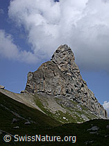 ESCN3700: Hochebene Hogant: Lobhorn