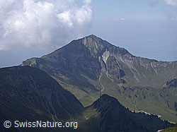 ESCN3701: Morgenberghorn