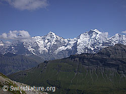 ESCN3702: Lobhörner: Eiger, Mönch und Jungfrau