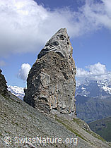 ESCN3703: Lobhorn, Jungfrauregion