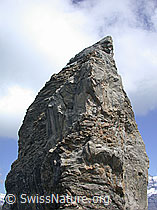 ESCN3705: Gipfelaufbau des Lobhorn