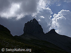 ESCN3718: Lobhörner und Gewitterstimmung