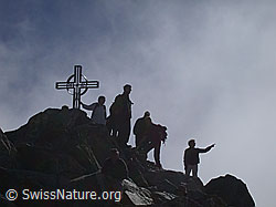 F000011: Gipfelrast auf dem Eggishorn