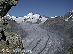 Foto: Eggishorn: Aletschgletscher, Konkordiaplatz, Mönch, Trugberg