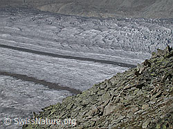 F000026: Aletschgletscher vom Eggishorn