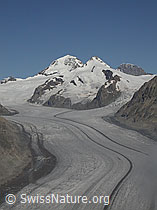 Foto: Eggishorn: Aletschgletscher, Konkordiaplatz, Mönch, Trugberg