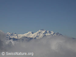 F000050: Monte Rosa, Allalinhorn, Alphubel und Mischabelgruppe