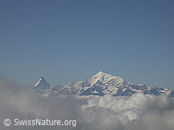 F000051: Matterhorn, Weisshorn, Brunegghorn und Bishorn