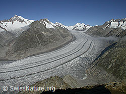 Foto: Aletschgletscher, Aletschhorn, Dreieckhorn, Jungfraujoch, Mönch