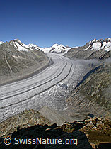 Foto: Eggishorn: Dreieckhorn, Mönch, Aletschgletscher