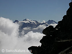 F000061: Eggishorn: Rappehorn, Turbhorn und Ofenhorn